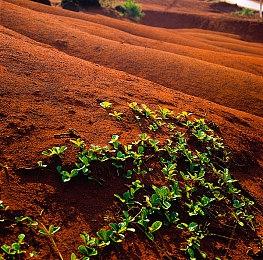 B站首届巅峰玩家大奖赛开启：十场游戏赛事、万元奖金等你来战！